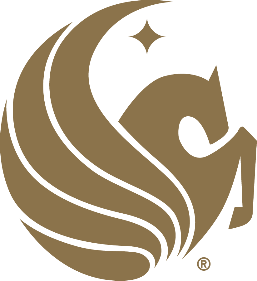 Central Florida Knights 2007-2017 Misc Logo diy iron on heat transfer